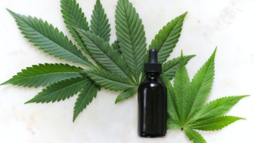 green cannabis leaves and black glass drops bottle