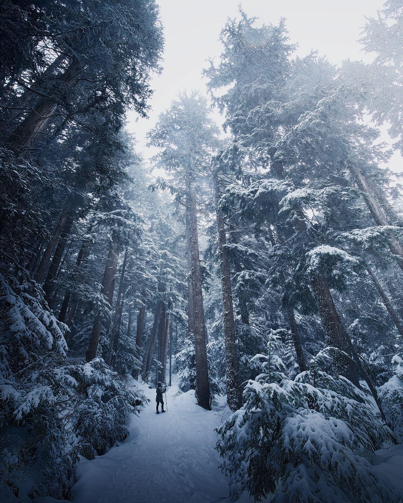 Humdrum to Magical: 49 Best Photos by Vancouver Photographer Kaiyhun