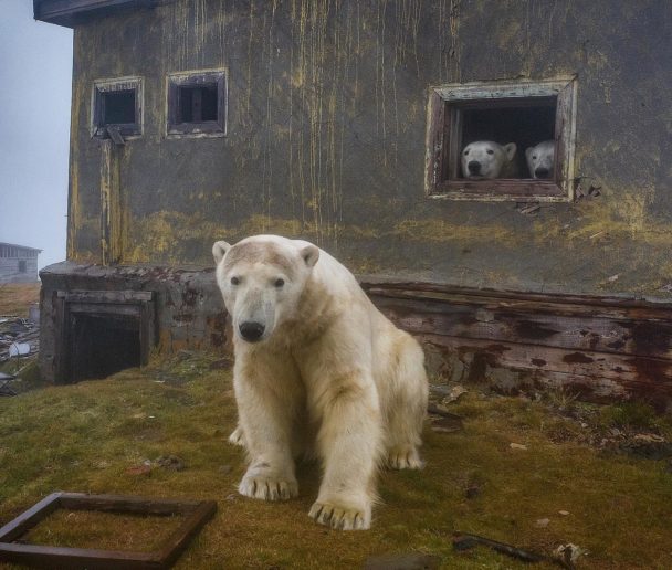 Near The Arctic Circle: Photographer Dmitry Kokh Captured Breathtaking ...