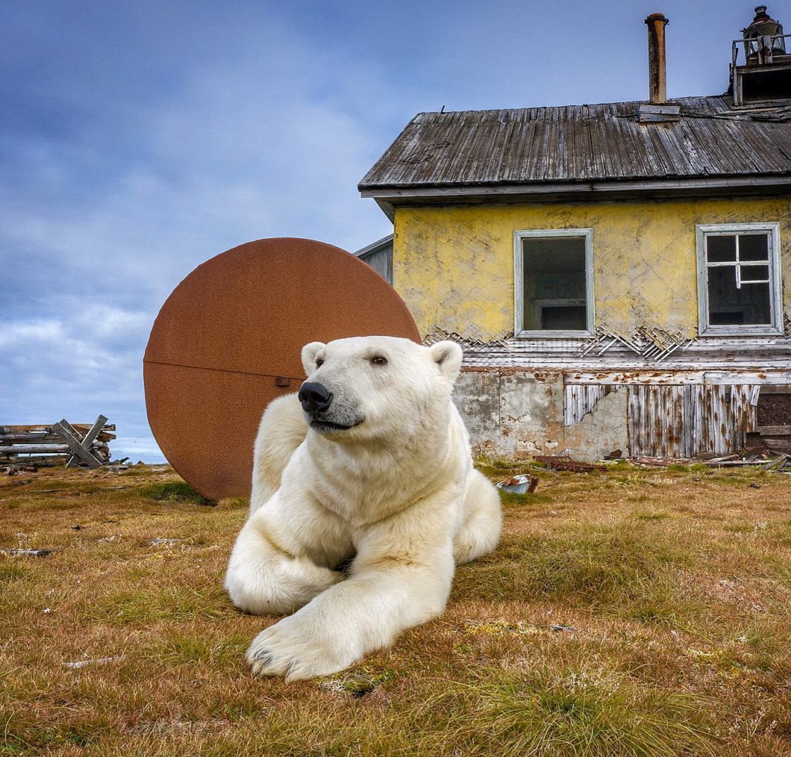 Near The Arctic Circle: Photographer Dmitry Kokh Captured Breathtaking ...