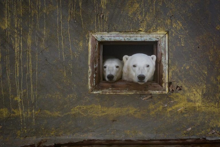 Near The Arctic Circle: Photographer Dmitry Kokh Captured Breathtaking ...