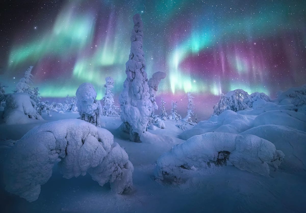 Northern Lights Photographer Year Marc Adamus Alaska