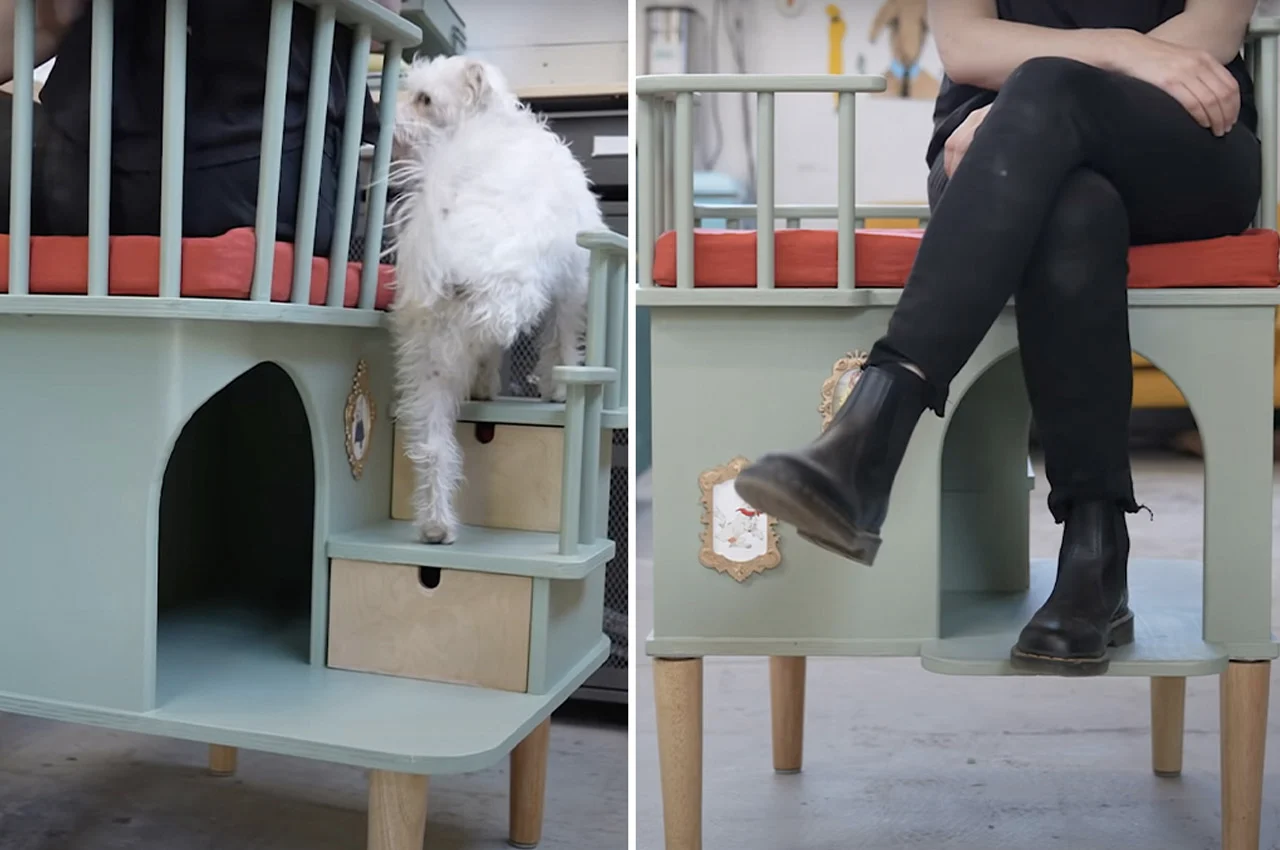 10 Beautiful Pet Products for Your Home: Dog-Friendly Designs