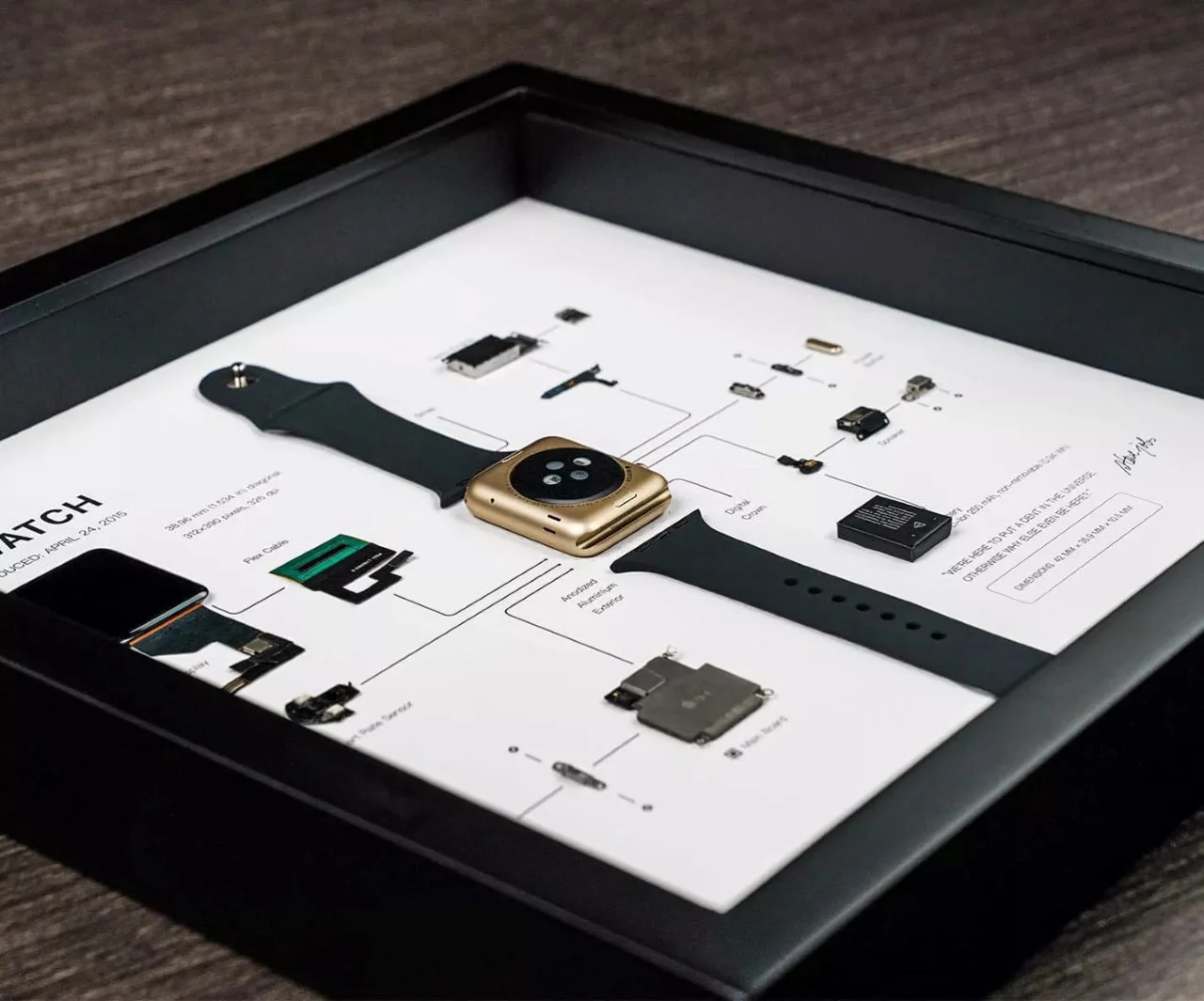 Uncover Tech's Beauty With This Apple Watch 1st Gen. Disassembled Into All its Tiny Parts