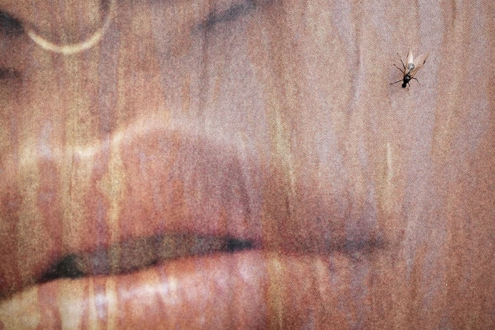 The Street Photographers Journey: A Foundation for Emerging Photographers