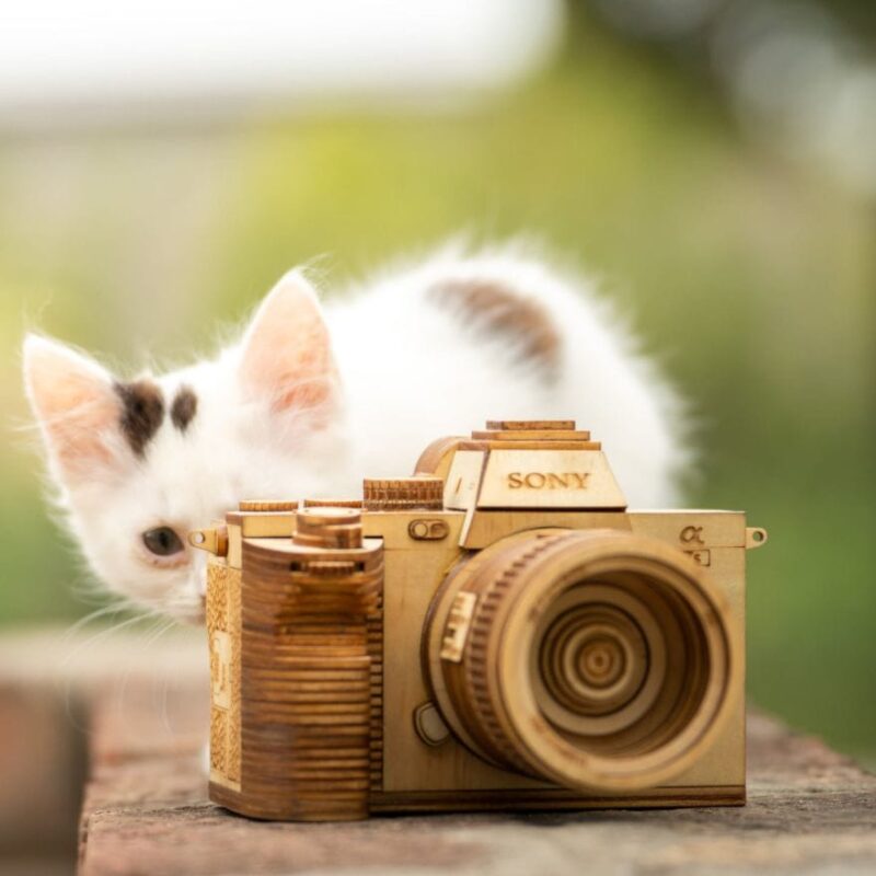Wooden Camera Models Vietnamese Artist Whose Wooden Products Are