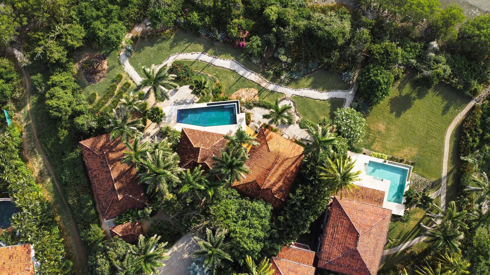 Making the Most of Your Vacation: Timeshare vs. Investing in a Property green plants on brown clay pot