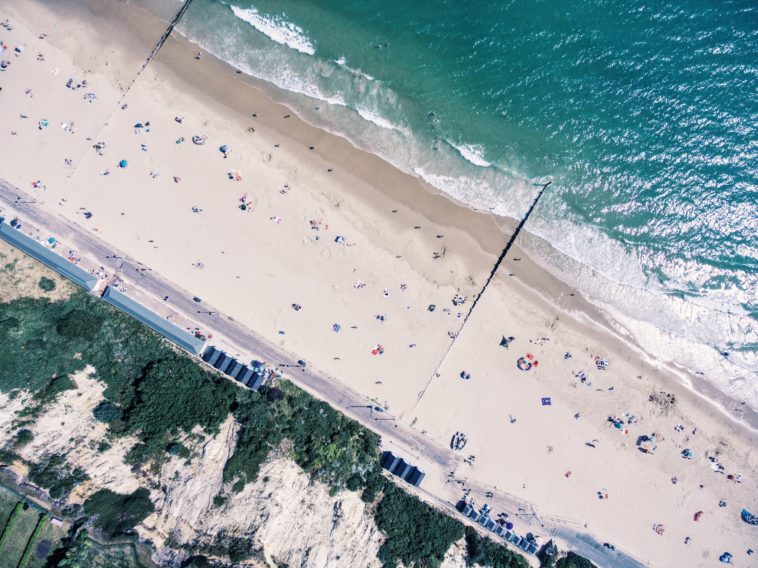 aerial photo of people near beach