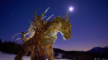 marco martalar driftwood dragon sculpture italy 1