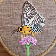 Vibrant And Dimensional: Self-Taught Embroidery Artist Laura McGarrity ...