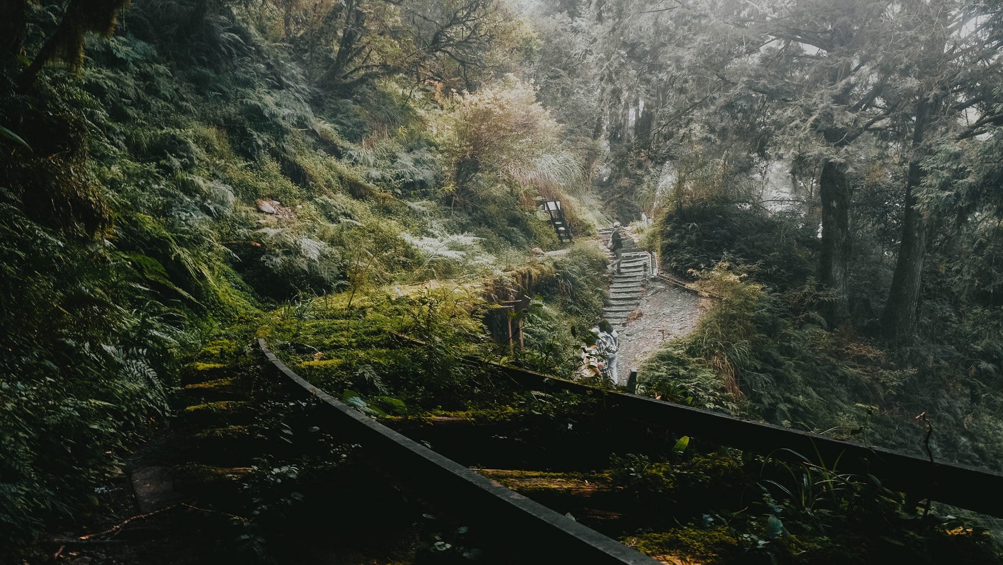 Photographer Captures Ethereal Taiwan Forest: A Fascinating Look at the Jianqing Historic Trail