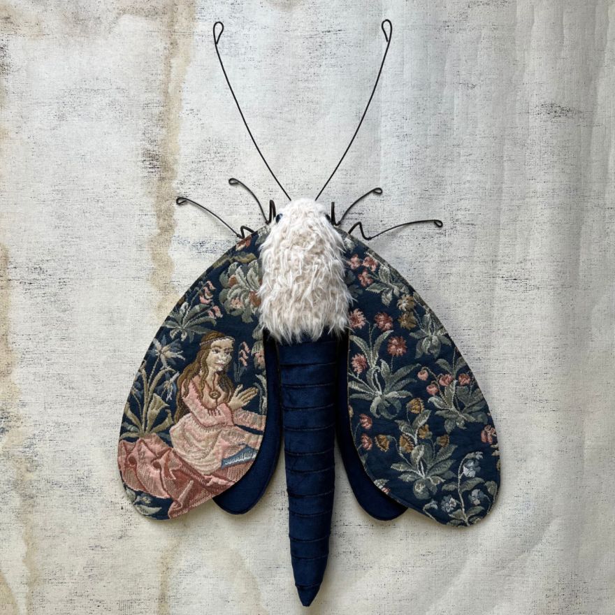 textile moths larysa bernhardt 1
