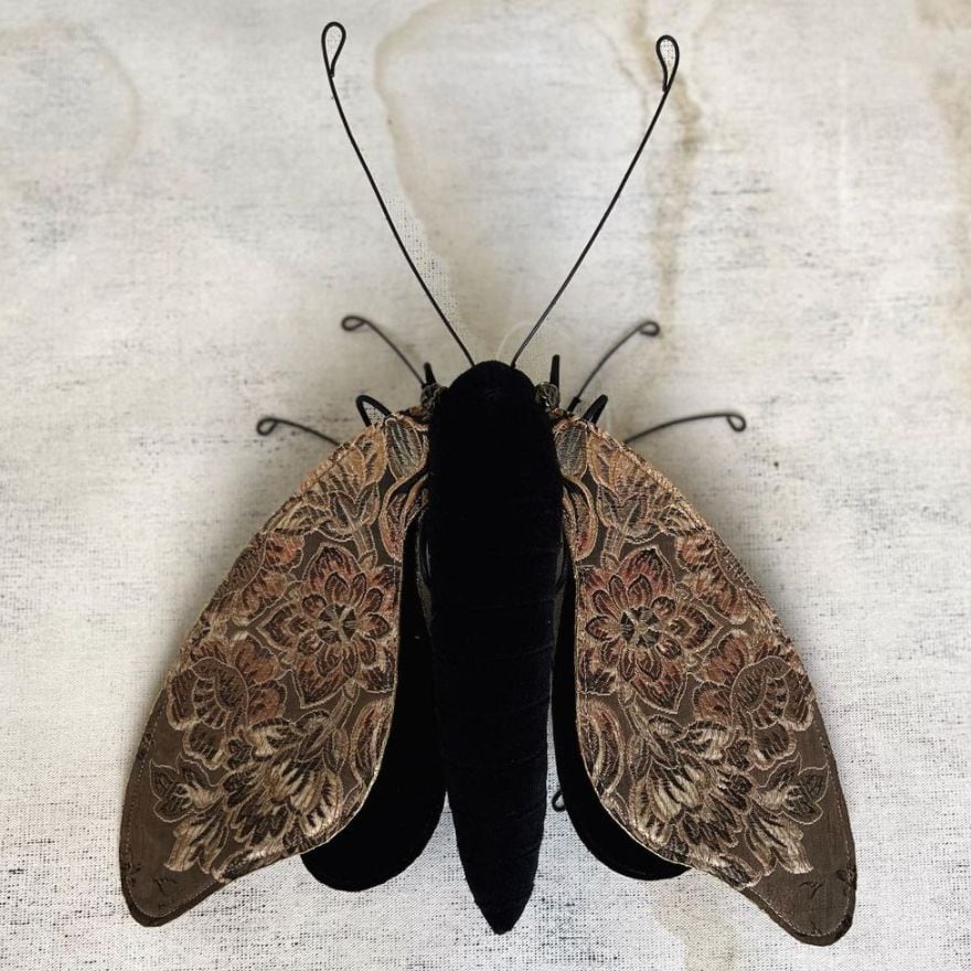 textile moths larysa bernhardt 2
