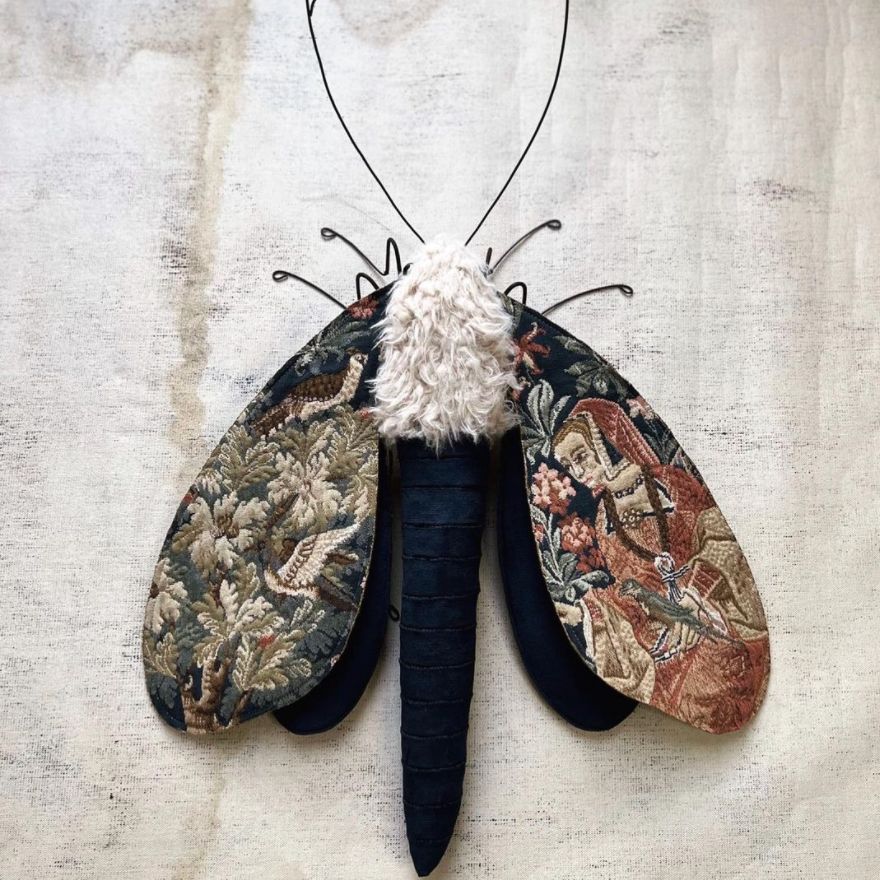 textile moths larysa bernhardt 5