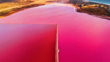 kristina makeeva pink lagoon photographs 1 1
