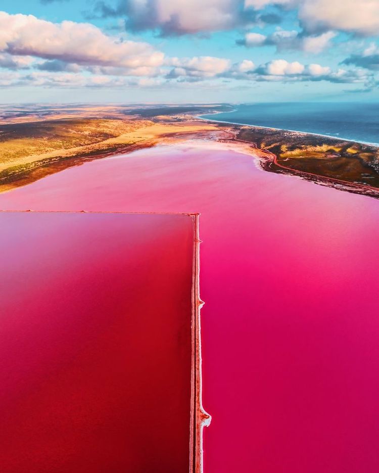 kristina makeeva pink lagoon photographs 1 1