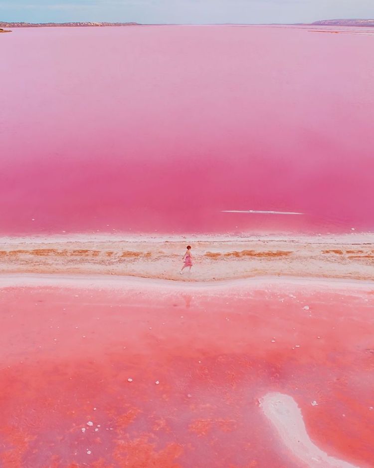 kristina makeeva pink lagoon photographs 12 1