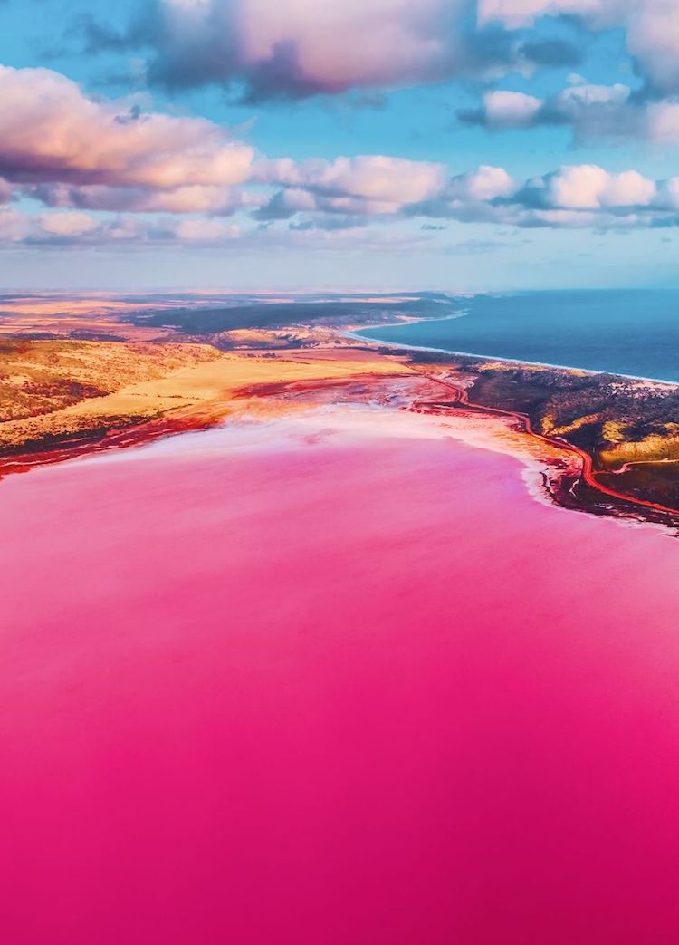 kristina makeeva pink lagoon photographs 14 1