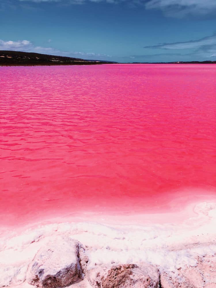 kristina makeeva pink lagoon photographs 17 1