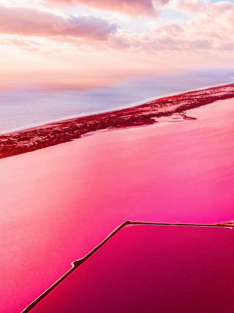 kristina makeeva pink lagoon photographs 3 1