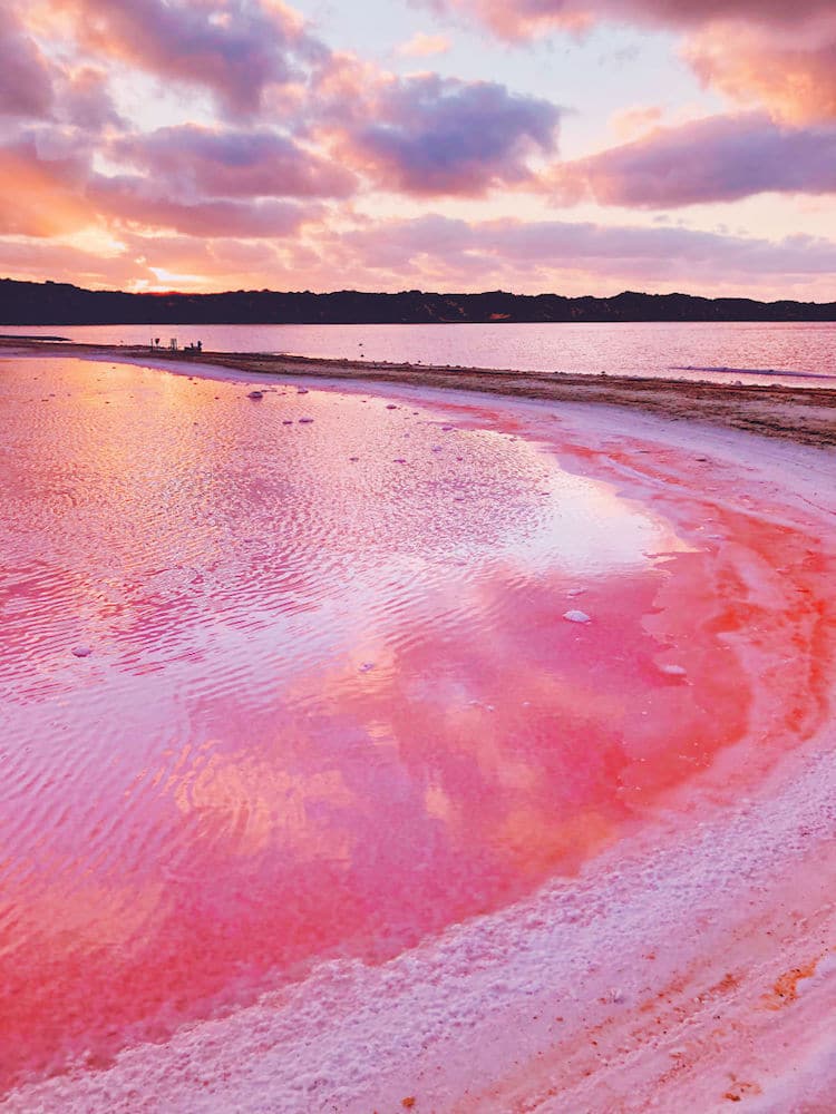 kristina makeeva pink lagoon photographs 4 1