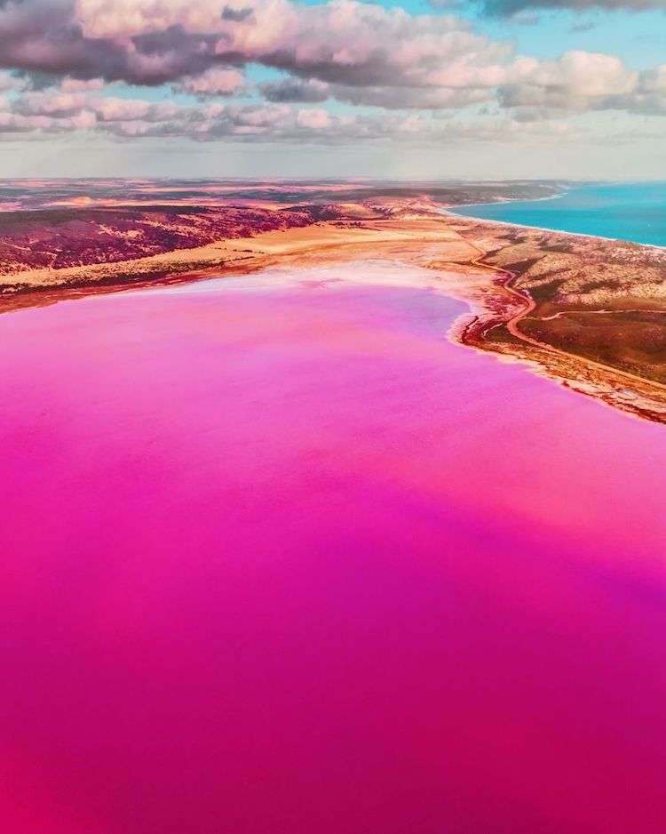 kristina makeeva pink lagoon photographs 7 1