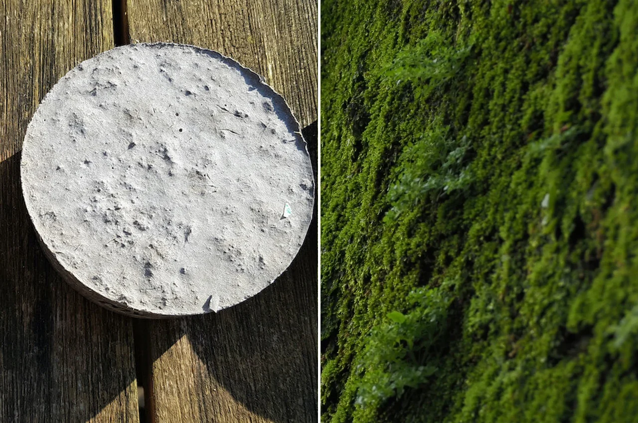 Raw, Rustic, and Organic: The Growing Trend of Concrete Architectural Designs