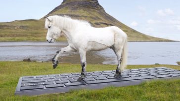 outhorse your email iceland travel horses answer work emails 1