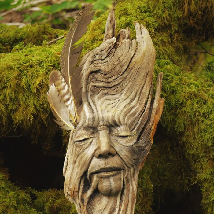 Nature-Inspired Driftwood Sculptures by Canadian Artist Debra Bernier