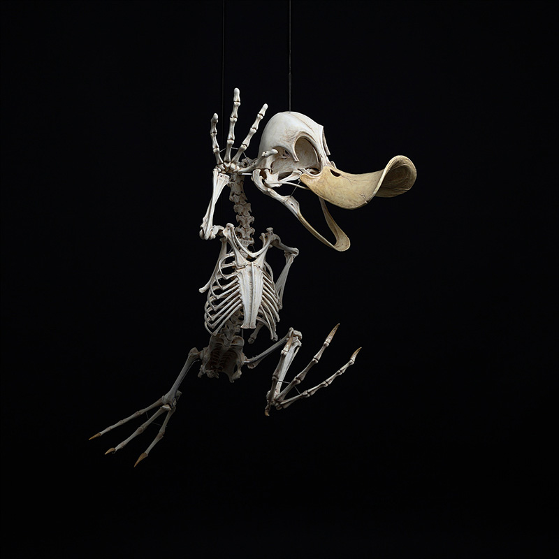 Korean Artist Hyungkoo Lee's Bizarre, Experimental Artworks: Featuring Skeletons and Cartoon Characters