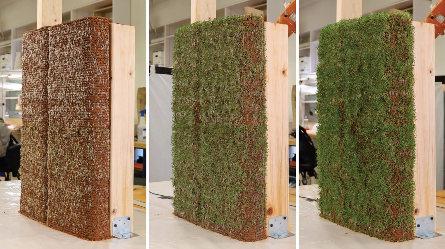 3D-Printed Structures That Sprout Plants: A Look at the University of Virginia's Innovative Technique