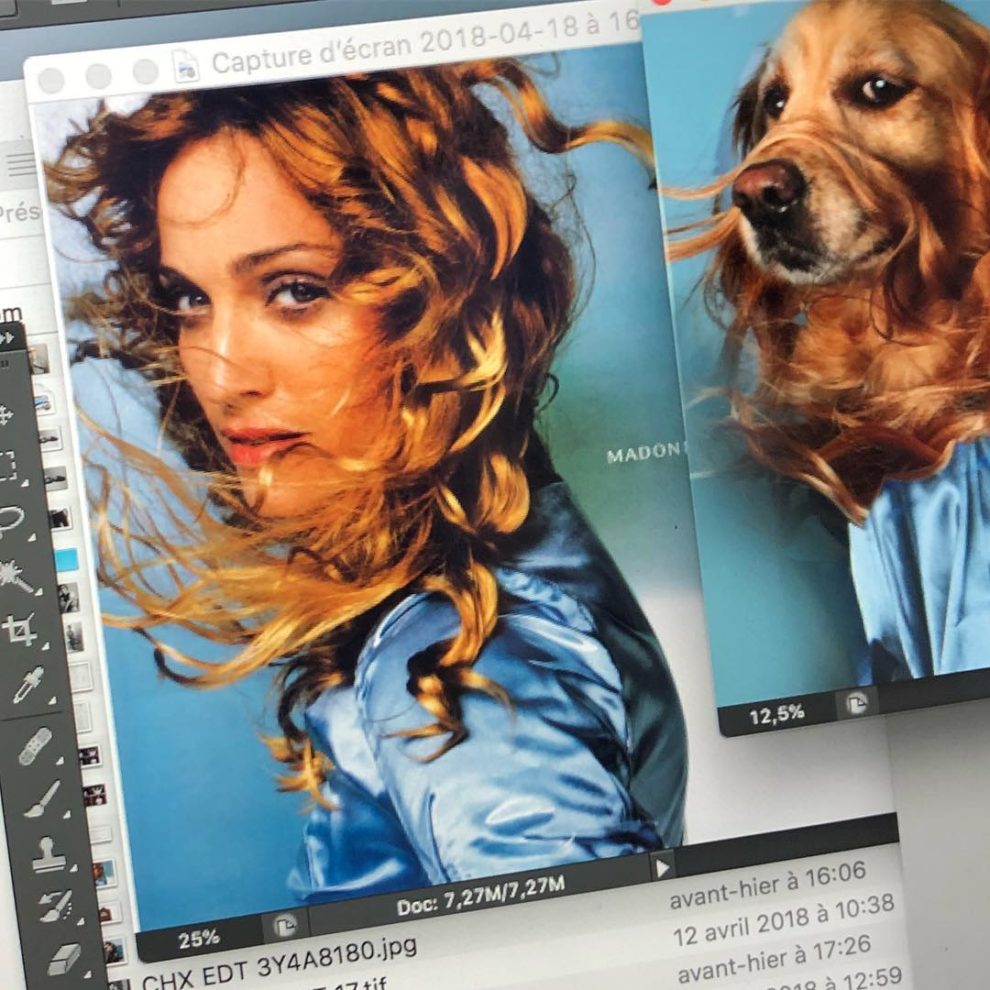 Meet Vincent Flouret, the French Photographer Whose Dog Max Is a Madonna Superfan 1 1 990x990 1