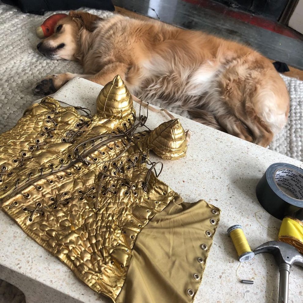 Meet Vincent Flouret, the French Photographer Whose Dog Max Is a Madonna Superfan 4 1 990x990 1