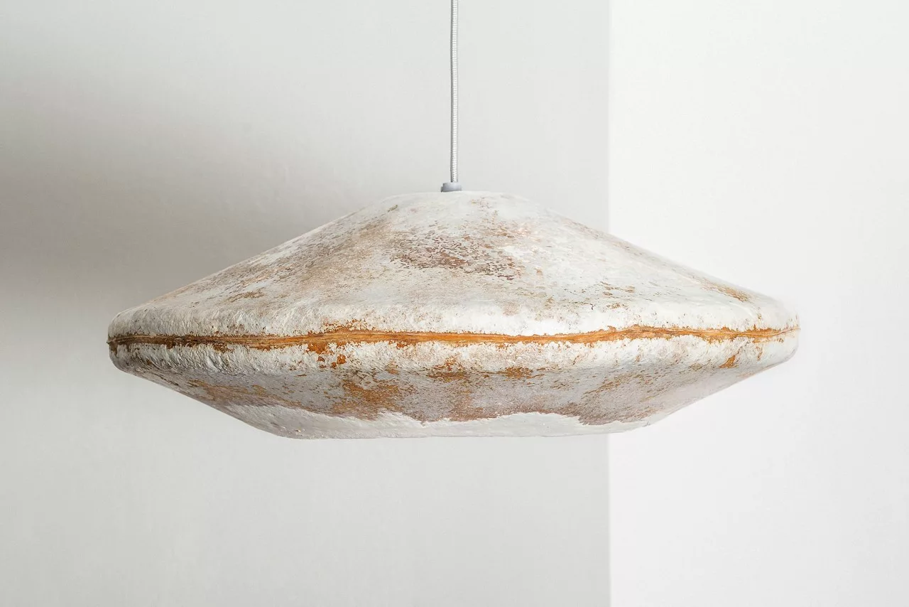 b wise mycelium lampshades 1 jpg