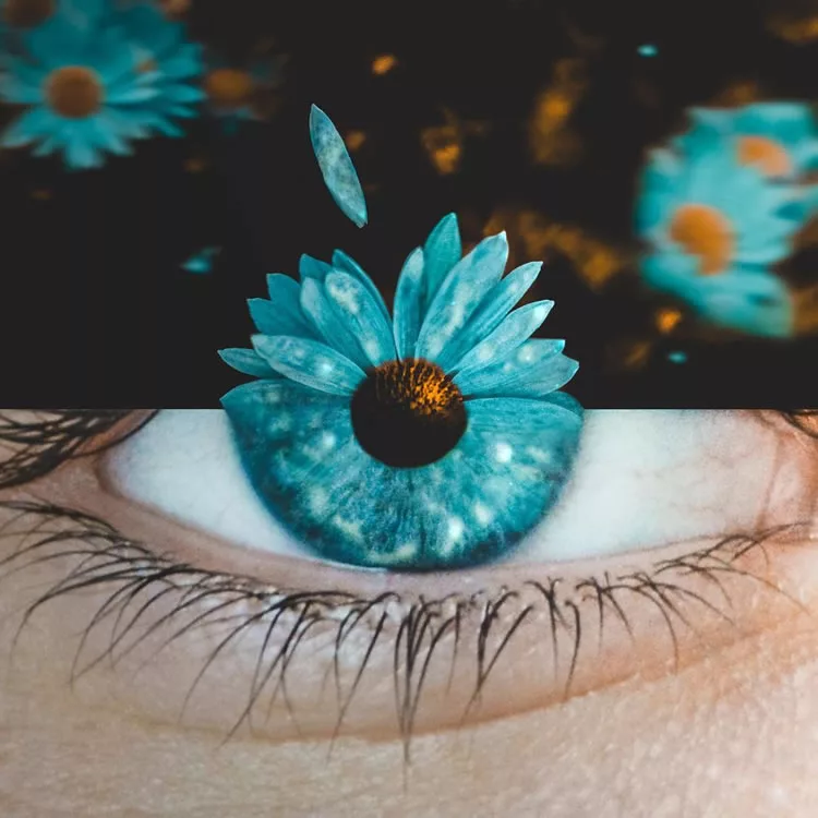Making the Ordinary Extraordinary: Surrealist Photographer Monica Carvalho