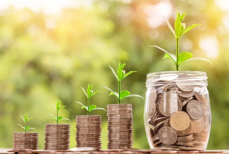 Loan money, coin, investment