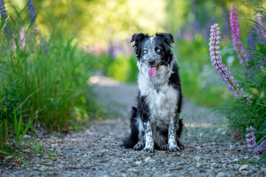 Capturing Life on the Farm: The Inspiring Work of Tasha Hall