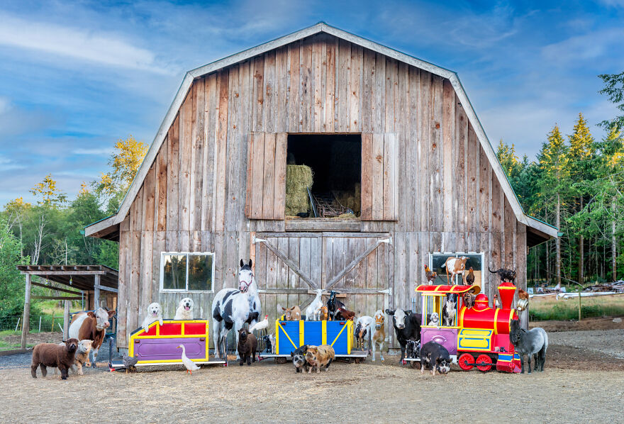 Capturing Life on the Farm: The Inspiring Work of Tasha Hall