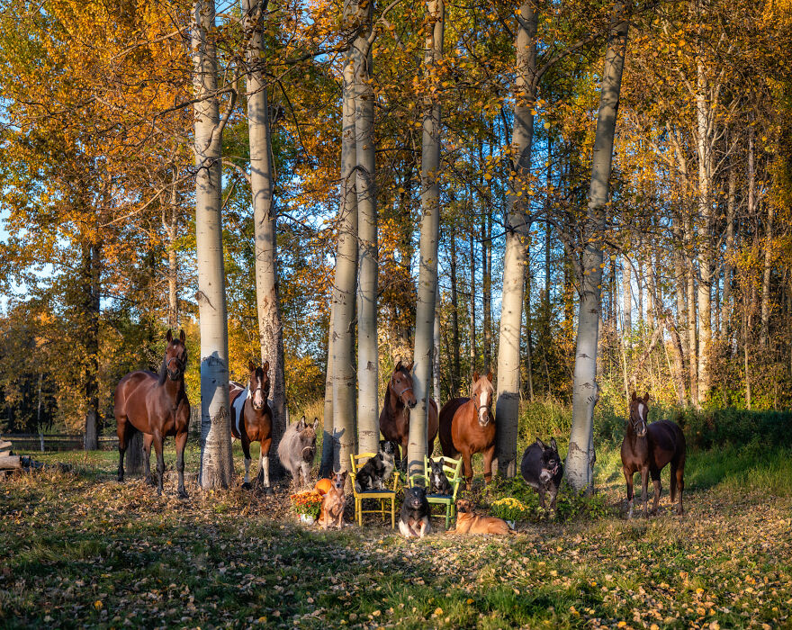 Capturing Life on the Farm: The Inspiring Work of Tasha Hall