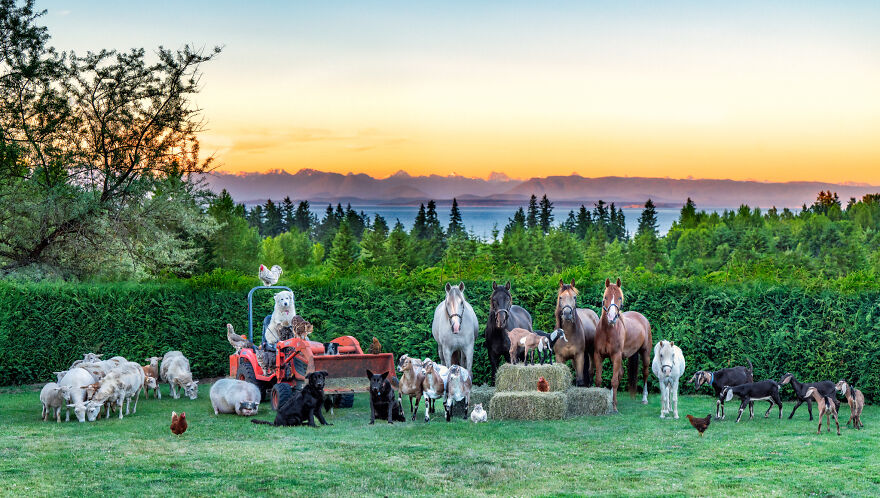 Capturing Life on the Farm: The Inspiring Work of Tasha Hall