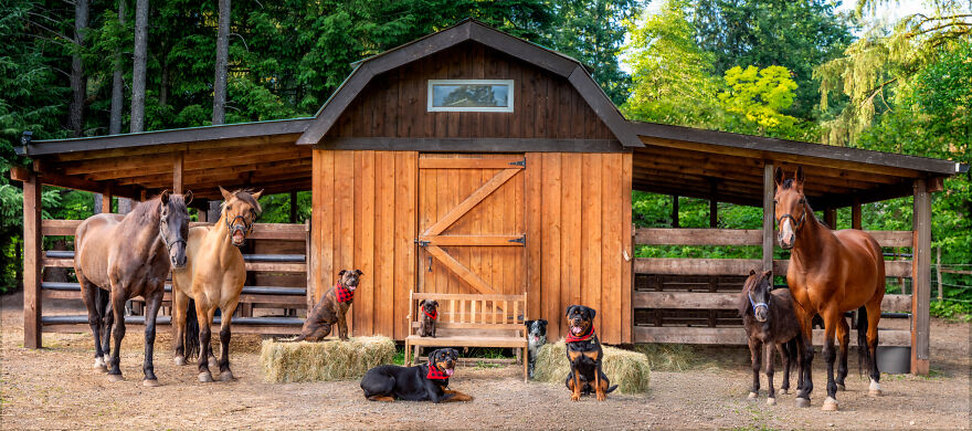 Capturing Life on the Farm: The Inspiring Work of Tasha Hall