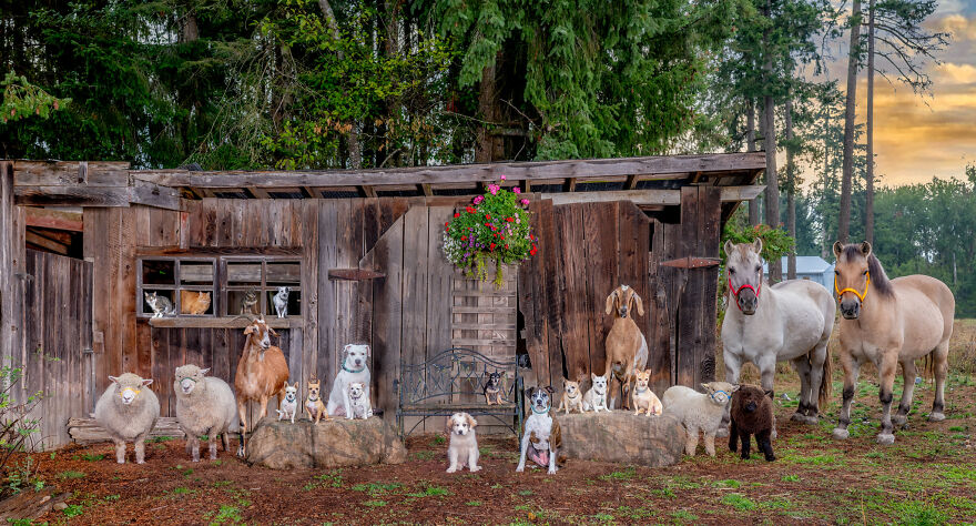 Capturing Life on the Farm: The Inspiring Work of Tasha Hall