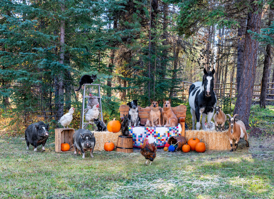 Capturing Life on the Farm: The Inspiring Work of Tasha Hall