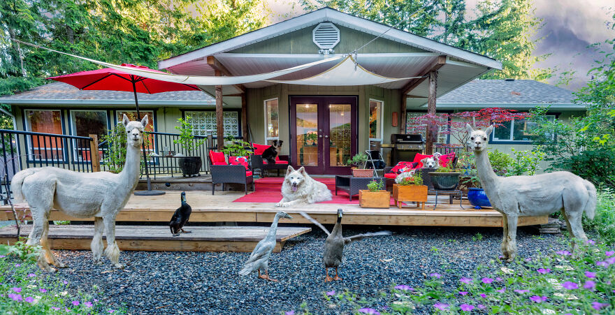 Capturing Life on the Farm: The Inspiring Work of Tasha Hall