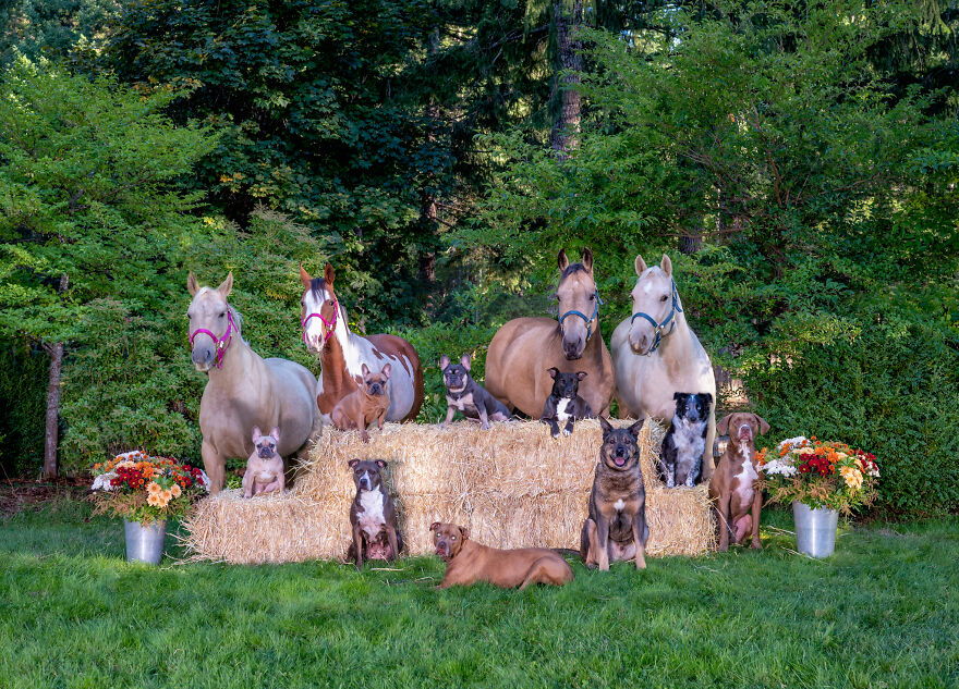 Capturing Life on the Farm: The Inspiring Work of Tasha Hall