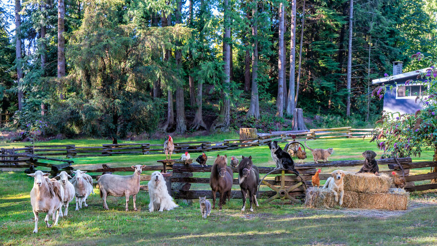 Capturing Life on the Farm: The Inspiring Work of Tasha Hall