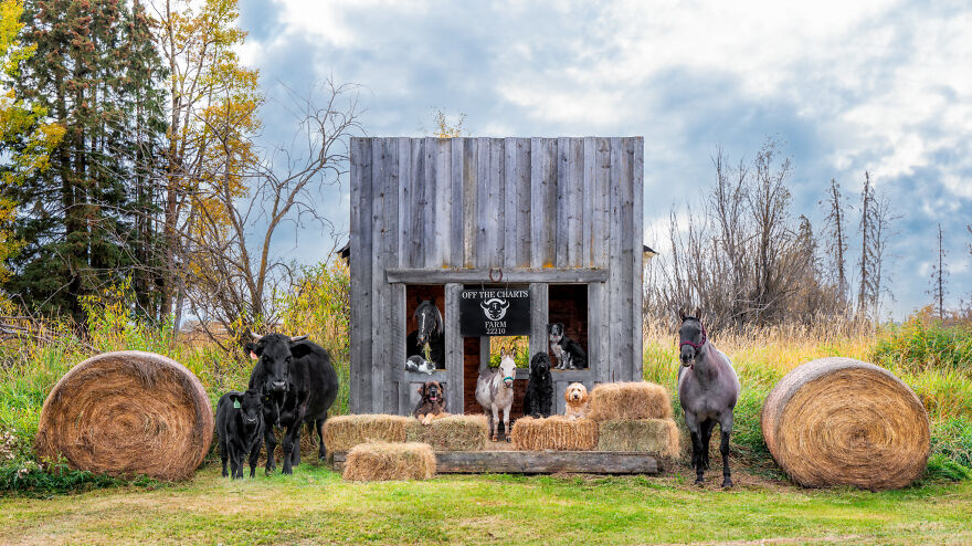 Capturing Life on the Farm: The Inspiring Work of Tasha Hall