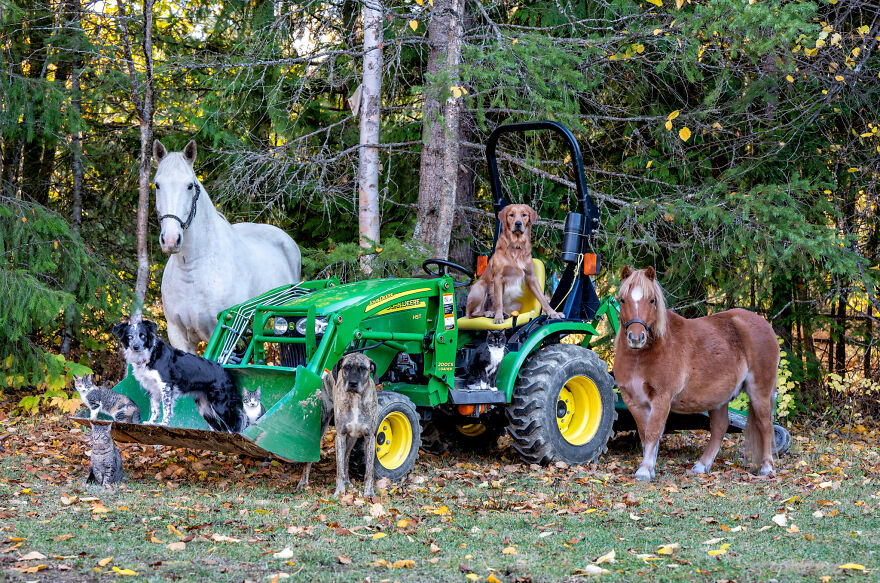 Capturing Life on the Farm: The Inspiring Work of Tasha Hall
