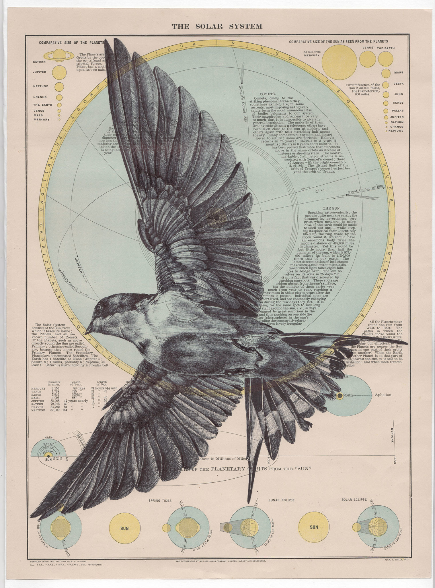 A Montage of Memories: Exploring the Unique Art of Mark Powell