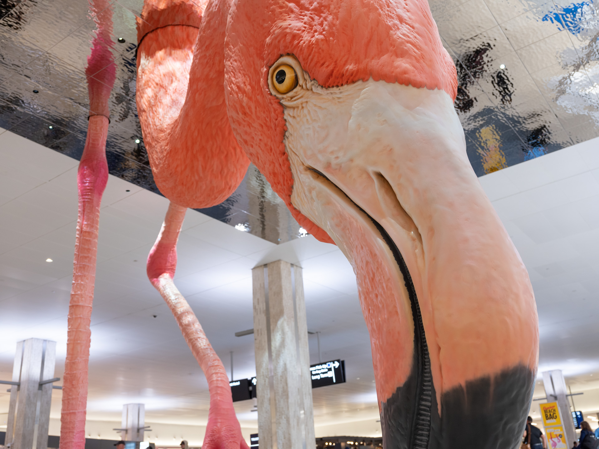 Immersive Flamingo Installation Transforms Tampa International Airport: A Closer Look at HOME